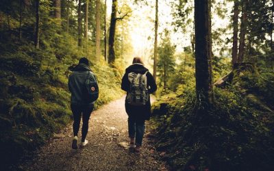 De mens is gemaakt om te wandelen: ‘Een kwartier in de natuur vermindert het stresshormoon cortisol al’