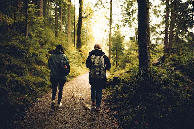 De mens is gemaakt om te wandelen: ‘Een kwartier in de natuur vermindert het stresshormoon cortisol al’